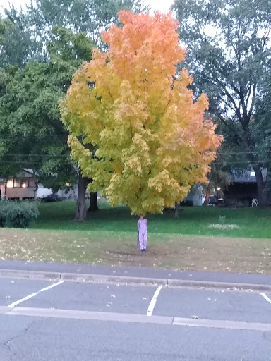 Park «Tanners Lake Park», reviews and photos, 400 Glenbrook Ave N, Oakdale, MN 55128, USA