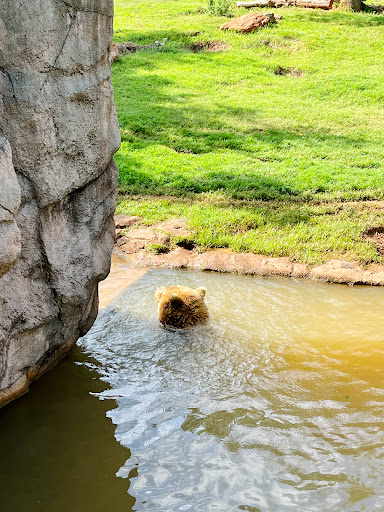 Zoo «Oklahoma City Zoo», reviews and photos, 2000 Remington Pl, Oklahoma City, OK 73111, USA