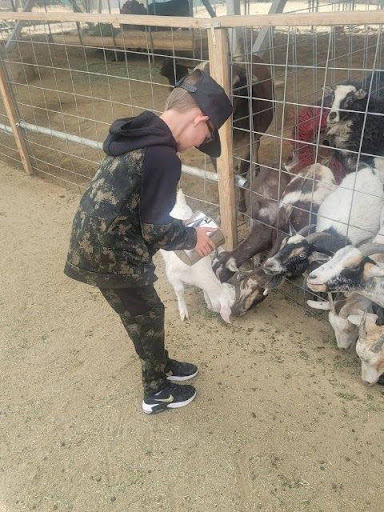 Zoo «Sierra Safari Zoo», reviews and photos, 10200 N Virginia St, Reno, NV 89506, USA