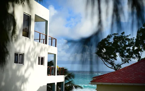 The View - Barbados image