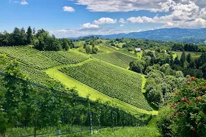 Weingut Peter Grill image