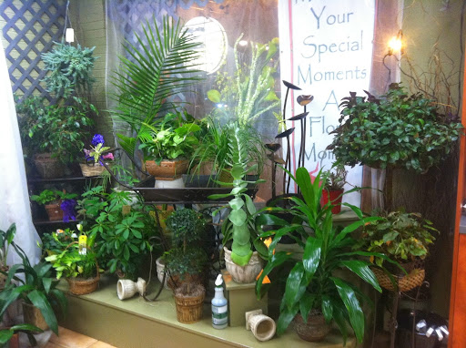 Florist «A Floral Moment By JuJu Buds», reviews and photos, 48 Chelmsford St, Chelmsford, MA 01824, USA