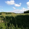 Cuba Marsh Forest Preserve