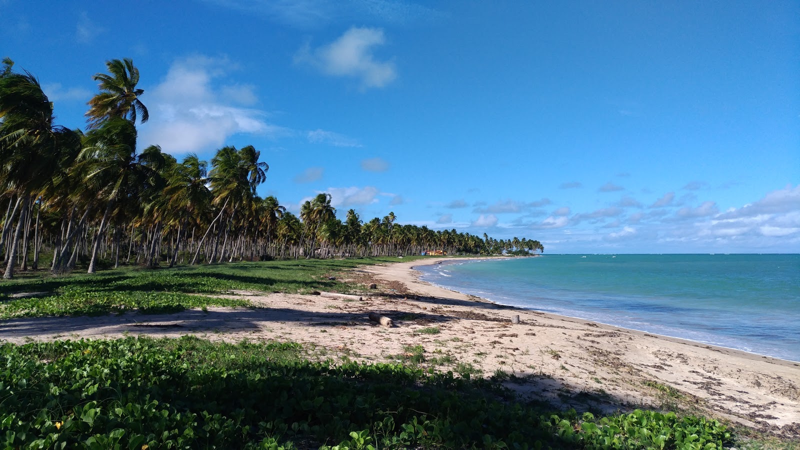 Praia da Laje photo #9