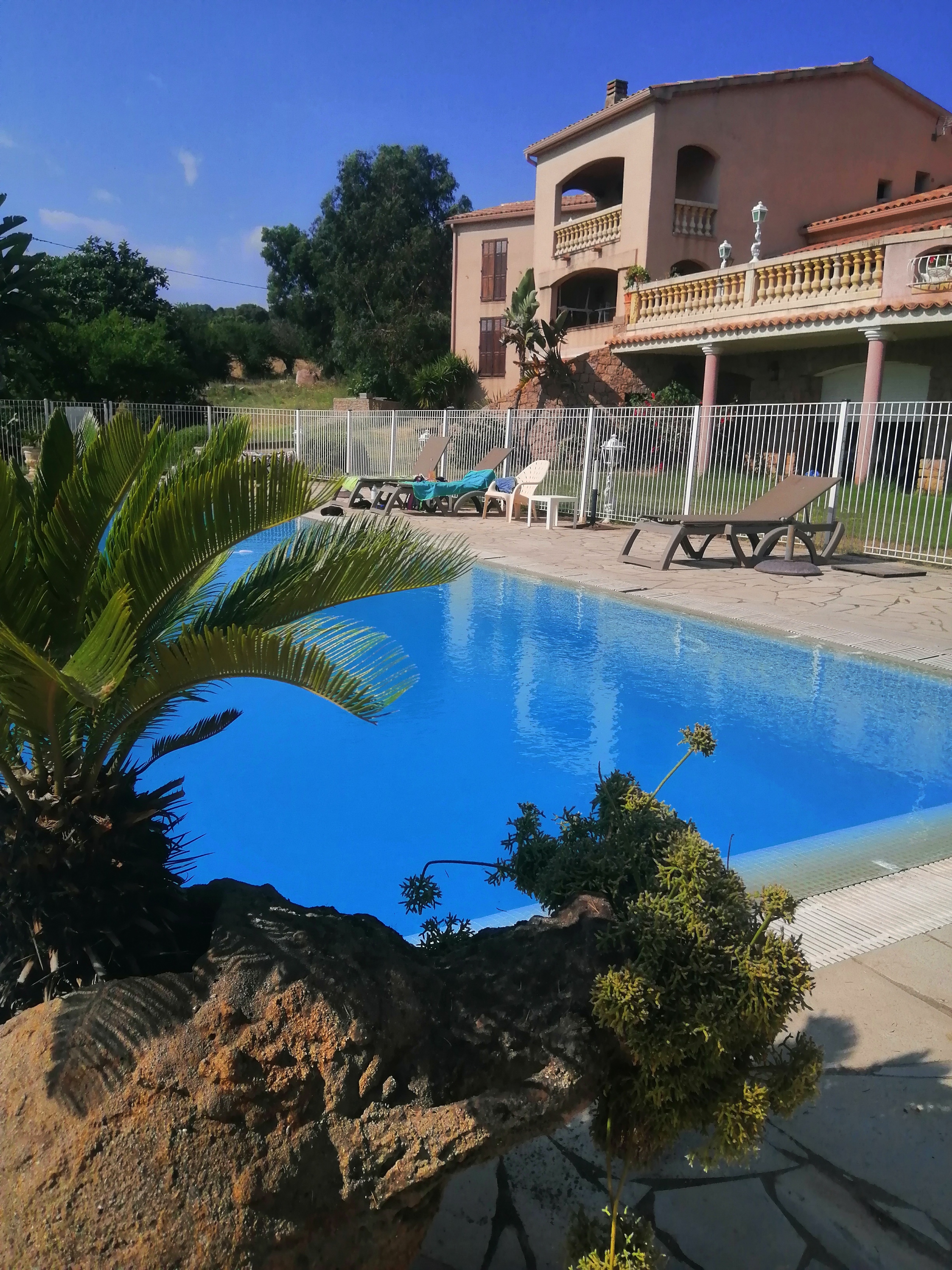 Photo n° 10 de l'avis de Reich.i fait le 19/06/2022 à 08:51