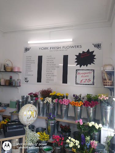 York Fresh Flowers - Florist