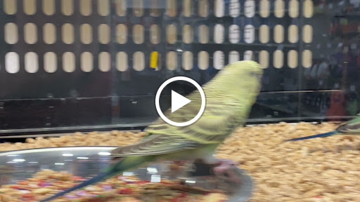 Pet Supply Store «PetSmart», reviews and photos, 860 Cobb Pl Blvd NW, Kennesaw, GA 30144, USA