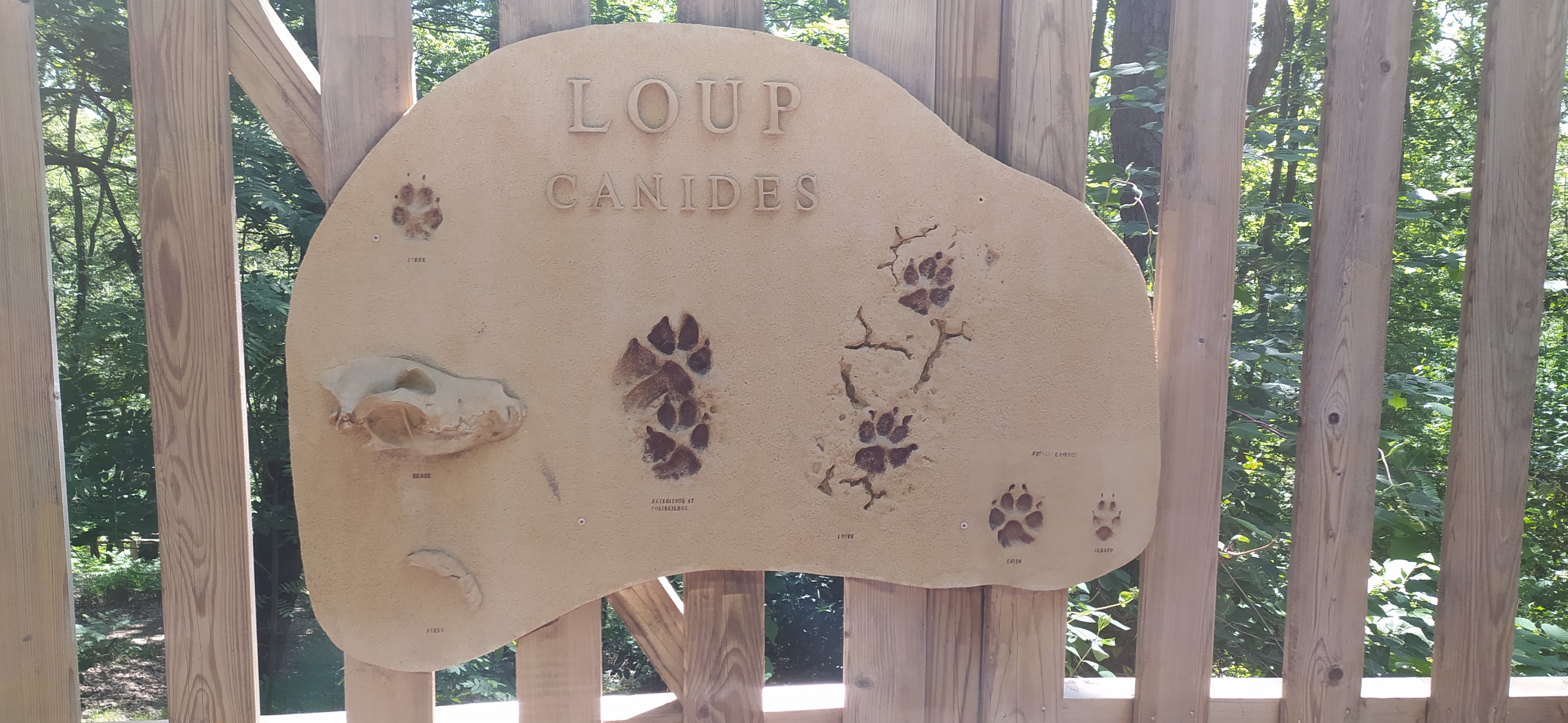 Photo n° 7 de l'avis de Florence. fait le 28/05/2023 à 17:49