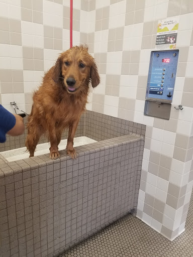 Pet Supply Store «Pet Food Express», reviews and photos, 4220 Long Beach Blvd, Long Beach, CA 90807, USA