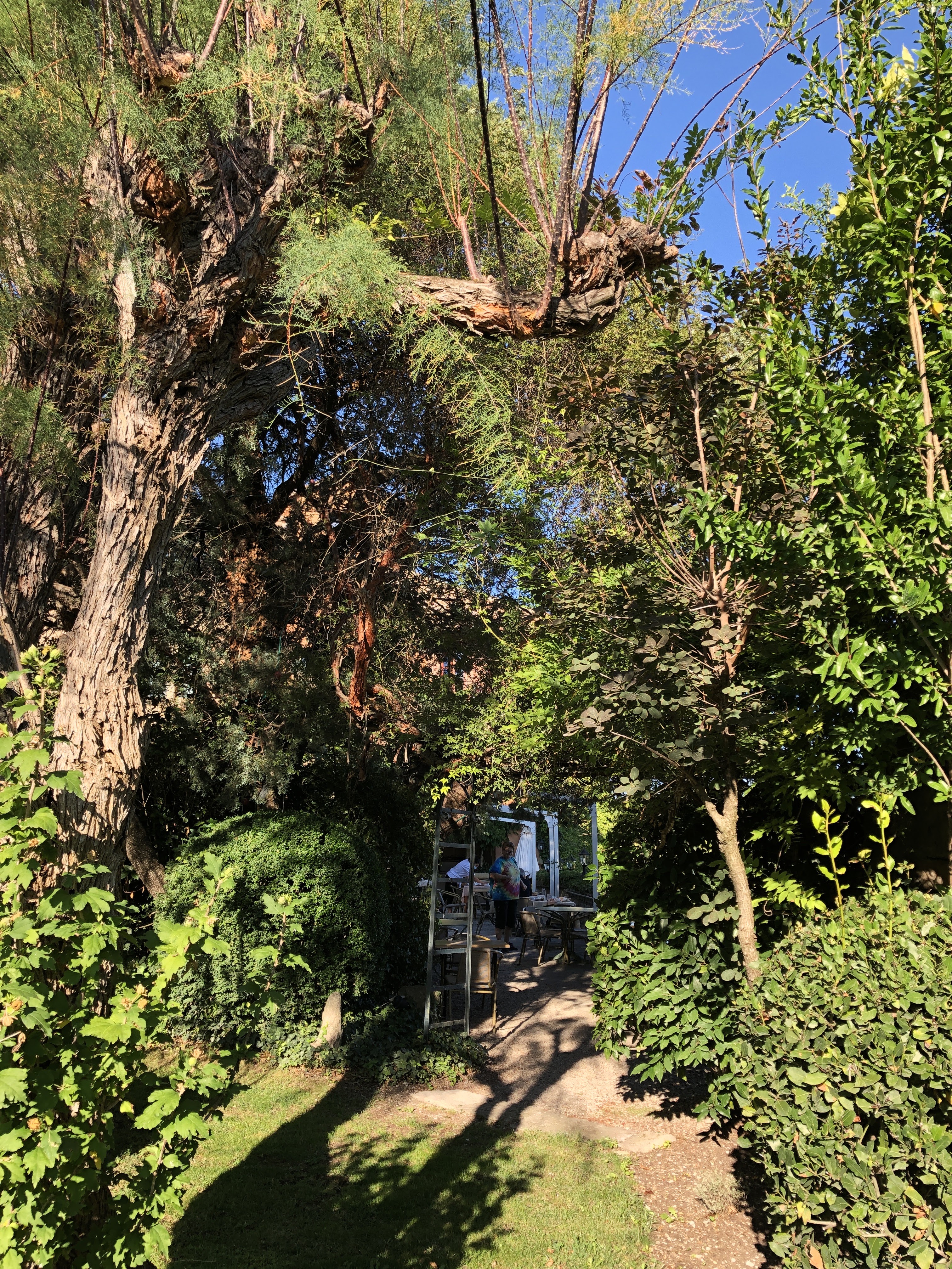 Photo n° 4 de l'avis de Virginie.r fait le 20/09/2020 à 20:33