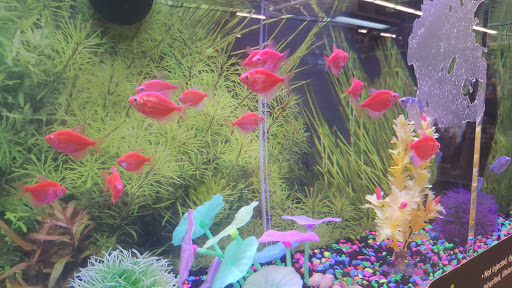 Pet Supply Store «PetSmart», reviews and photos, 1410 NE 23rd St, Pompano Beach, FL 33062, USA