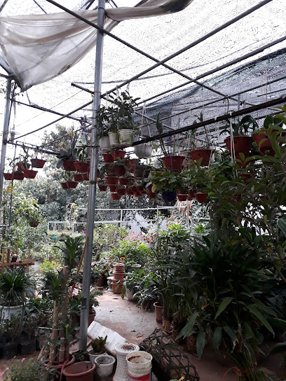 Nhà Vườn Thanh Minh