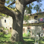 Photo n°1 de l'avis de Simona.l fait le 11/10/2023 à 14:50 sur le  Al Mulin à Pranzalito