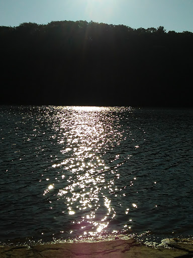 Tourist Attraction «Dinosaur Footprints», reviews and photos, US-5, Holyoke, MA 01040, USA