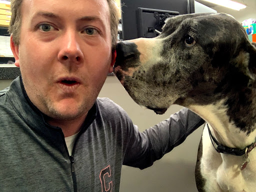 Nissan Dealer «Nissan North», reviews and photos, 8645 High St, Columbus, OH 43235, USA