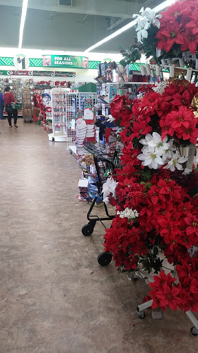 Dollar Store «Dollar Tree», reviews and photos, 945 FL-436 #1145, Altamonte Springs, FL 32714, USA