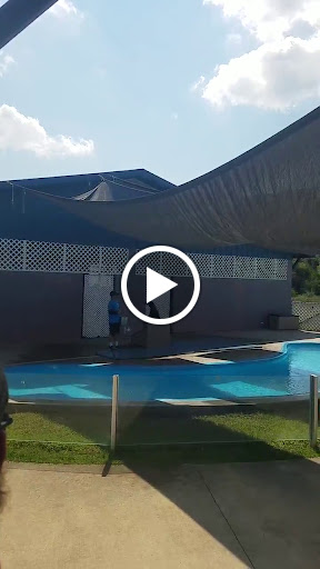 Educational Institution «Institute For Marine Mammal Studies», reviews and photos, 10801 Dolphin Ln, Gulfport, MS 39503, USA