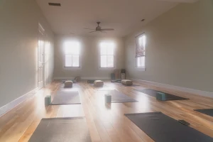 YogiSmile Yoga & Wellness Center image