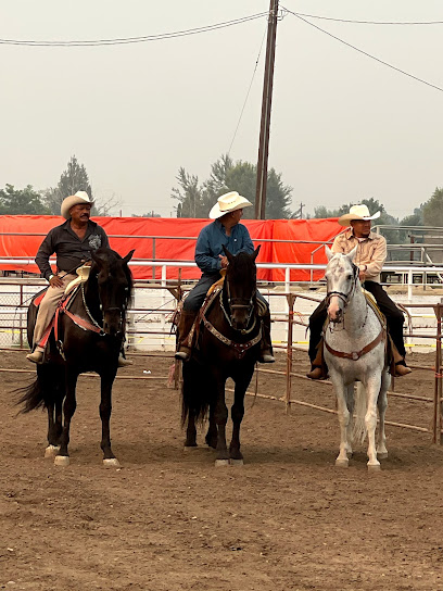 Toppenish Rodeo & Livestock
