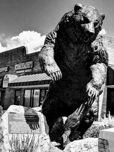 Car Wash «Brown Bear Car Wash», reviews and photos, 3724 Factoria Blvd SE, Bellevue, WA 98006, USA