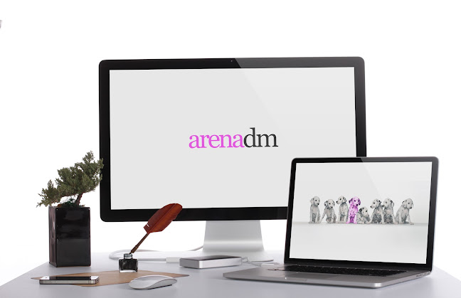 Arena DM - Website designer