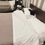 Photo n°2 de l'avis de Barbara.i fait le 30/05/2023 à 11:01 sur le  Perla Verde Hotel à Milano Marittima