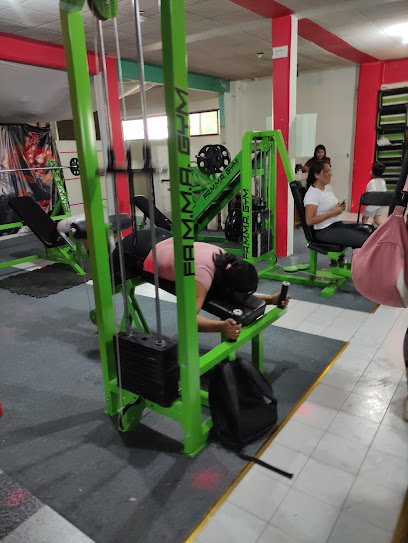 FAMMA GYM - 42660, 1o de Mayo 15, IV Demarcación, 42660 Tepatepec, Hgo., Mexico