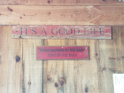 Farm «B & B Flower Farm», reviews and photos, 668 Jones Hill Rd, West Haven, CT 06516, USA