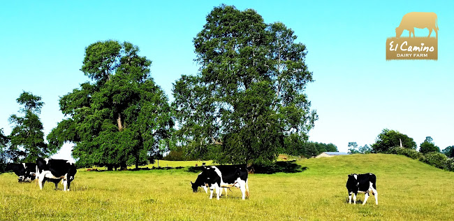 El Camino Dairy Farm