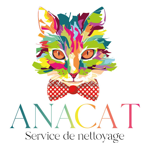 Rezensionen über ANACAT Service de Nettoyage in Lausanne - Hausreinigungsdienst