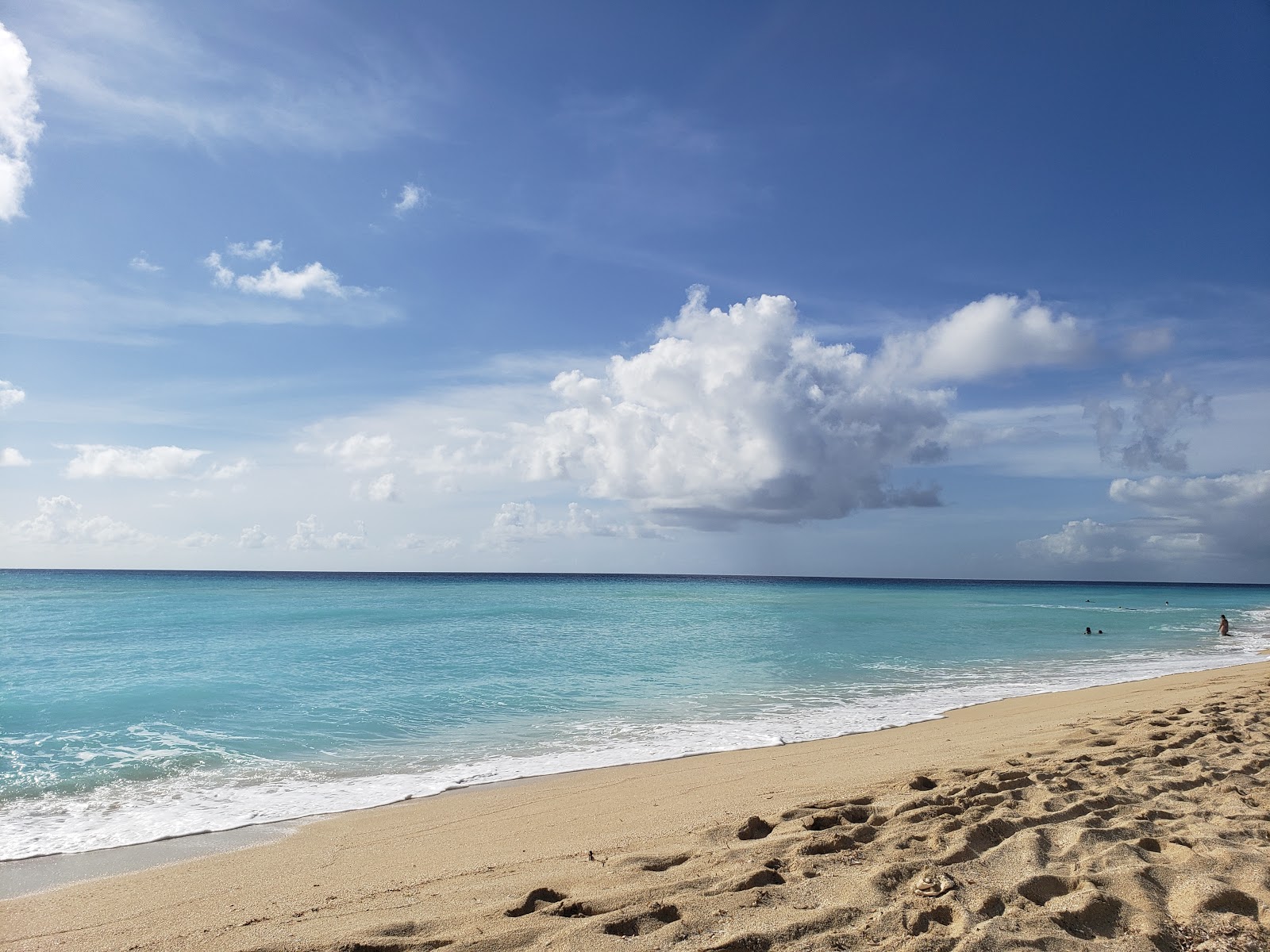 Foto de Sandy Point beach com reto e longo