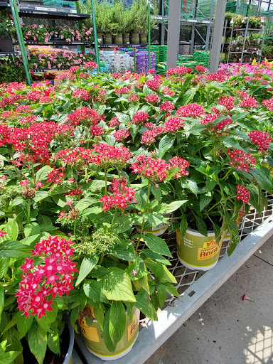 Home Improvement Store «The Home Depot», reviews and photos, 415 E Hwy 377, Granbury, TX 76048, USA