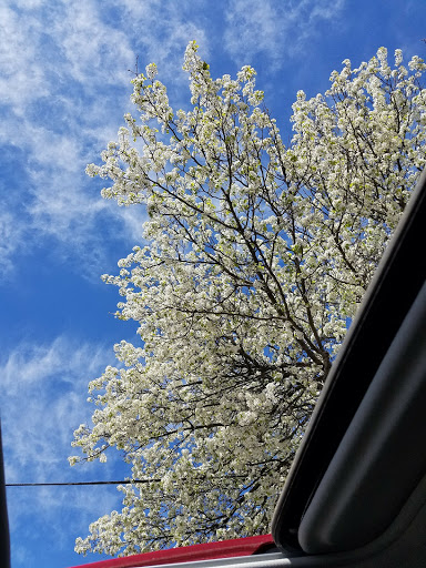 Golf Club «Spring Rock Golf Center», reviews and photos, 377 Denton Ave, New Hyde Park, NY 11040, USA