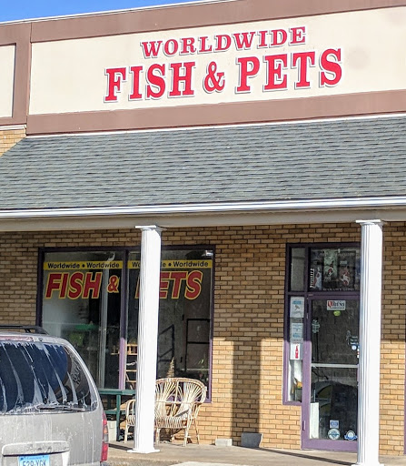 Pet Store «WorldWide Fish & Pets», reviews and photos, 61 Amity Rd, New Haven, CT 06515, USA