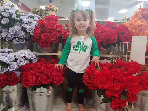 Craft Store «Michaels», reviews and photos, 1050 Hanes Mall Blvd, Winston-Salem, NC 27103, USA