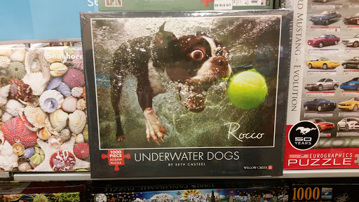 Book Store «Barnes & Noble», reviews and photos, 850 Inspiration Dr, Wilmington, NC 28405, USA