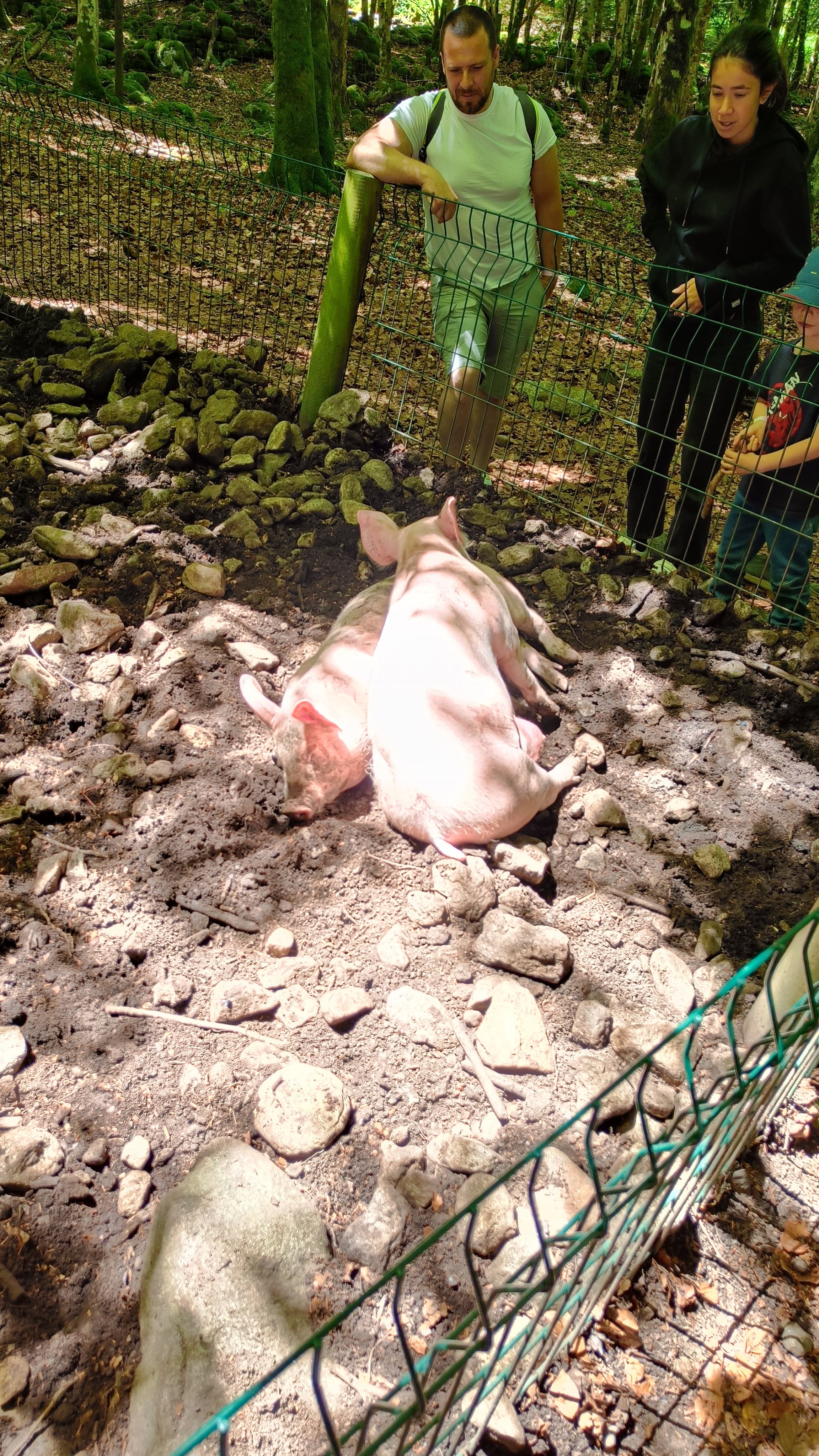 Photo n° 5 de l'avis de Nadège.N fait le 31/05/2022 à 18:17