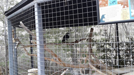 Zoo «Hogle Zoo», reviews and photos, 2600 Sunnyside Ave S, Salt Lake City, UT 84108, USA