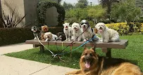 The Pet Whisperers - Car repair in Escondido, CA, Escondido - Rated 3.9/5