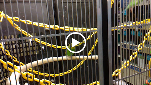 Pet Supply Store «PetSmart», reviews and photos, 12483 Limonite Ave, Mira Loma, CA 91752, USA