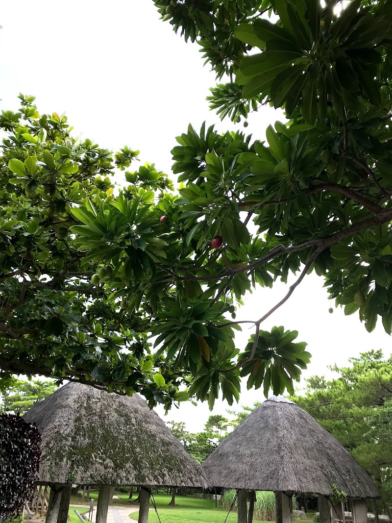 おきなわ郷土村 沖縄県本部町石川 史跡 グルコミ