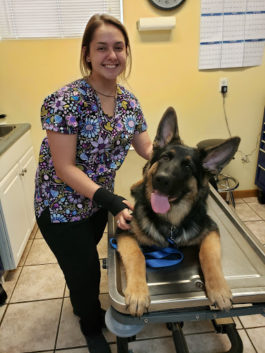 Wiley Ford Animal Clinic image