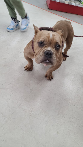 Shopping Mall «Hampton Plaza Shopping Center», reviews and photos, 4033 W Mercury Blvd, Hampton, VA 23666, USA