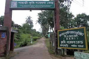 Hill Agricultural Research Station,Khagrachari(BARI) image