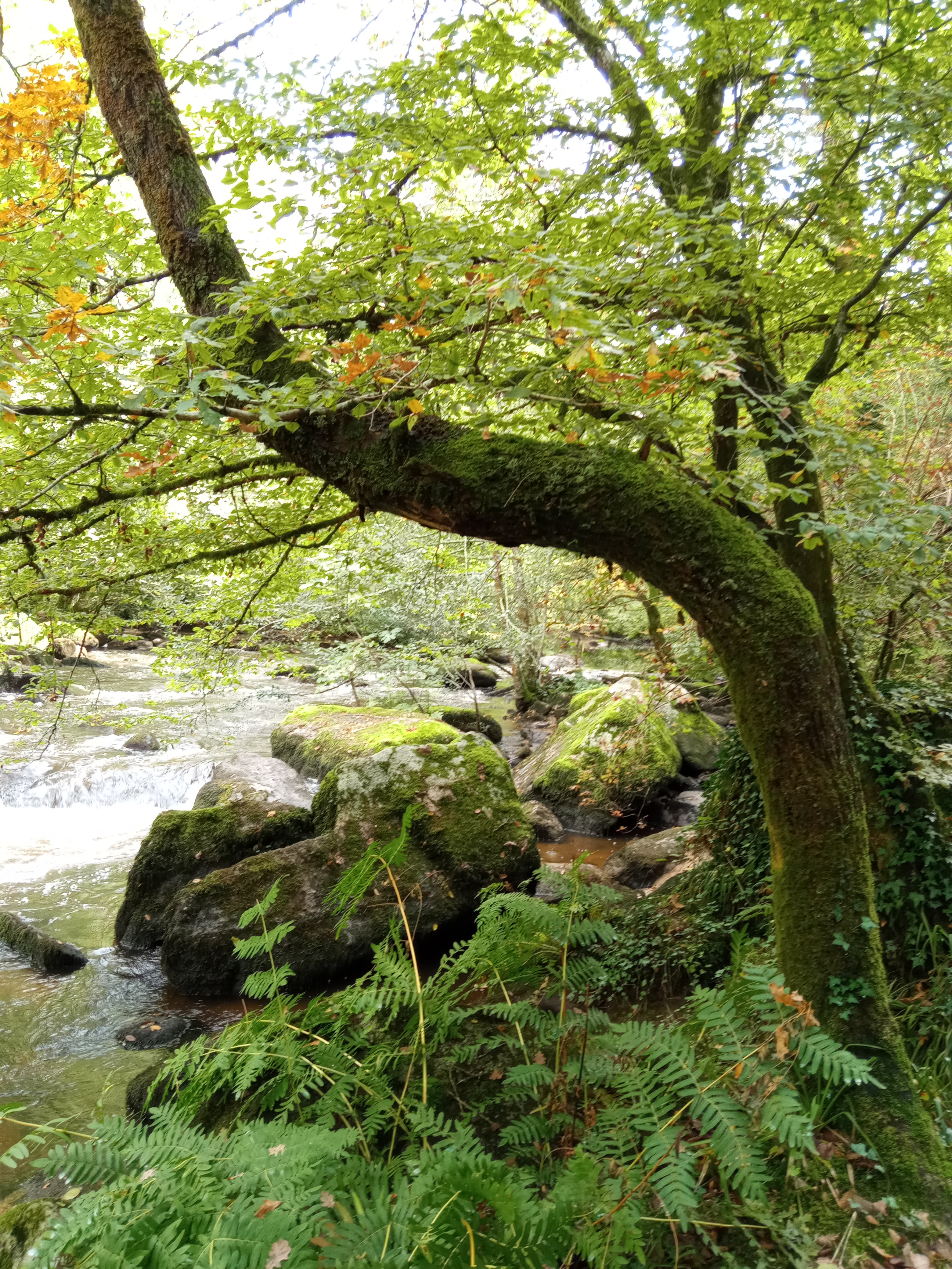 Photo n° 27 de l'avis de Ludmilla.U fait le 12/10/2020 à 15:27