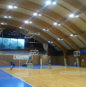 Spartans of Basketball - 29679 Benahavís, Málaga