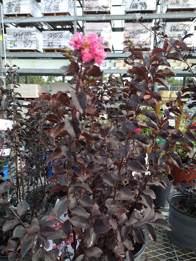 Home Improvement Store «The Home Depot», reviews and photos, 2303 US Hwy 27 S, Sebring, FL 33870, USA