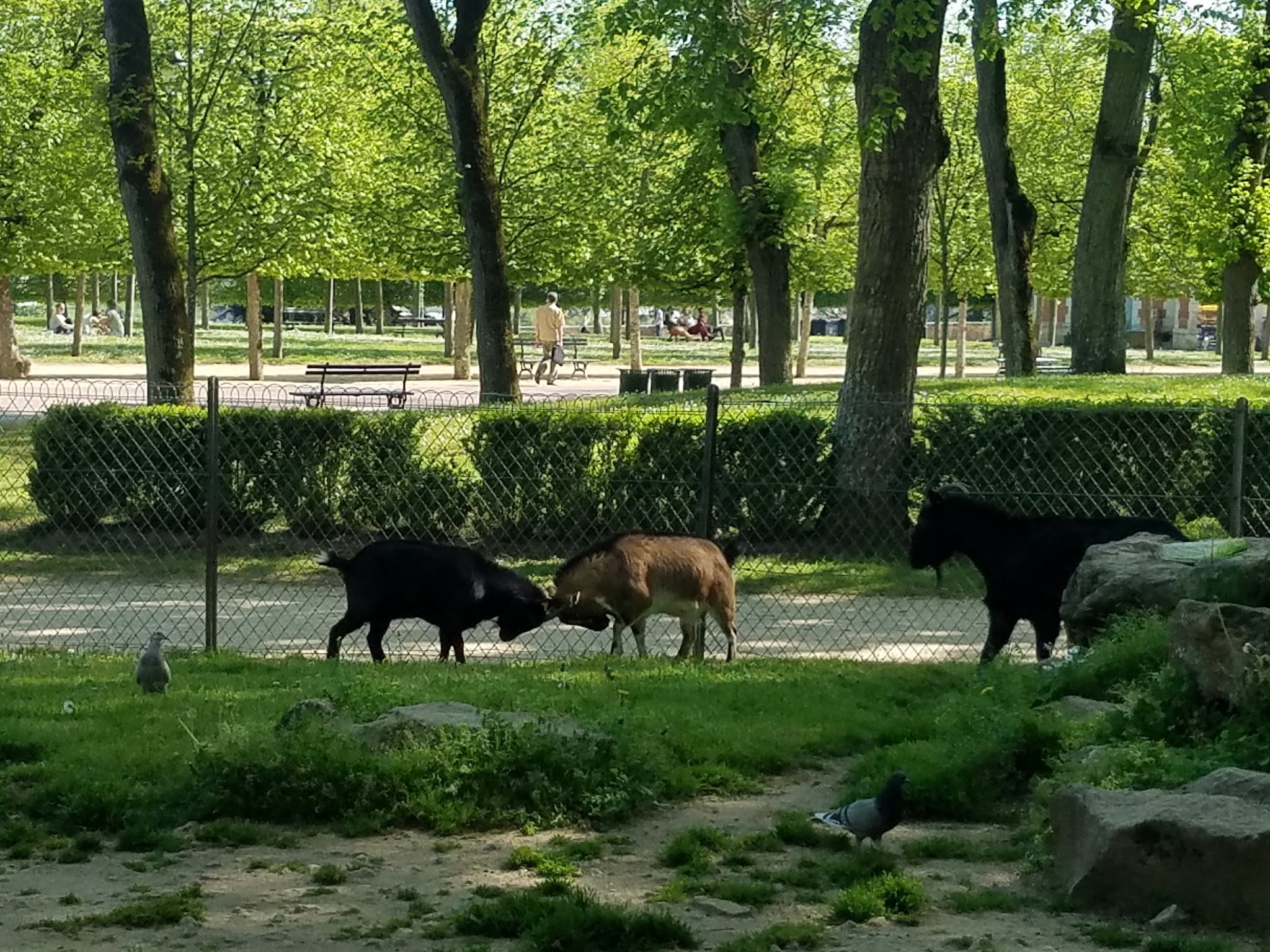 Photo n° 22 de l'avis de Elo.i fait le 14/09/2019 à 15:15