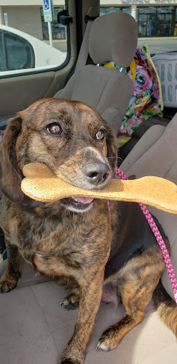 Pet Supply Store «Pet Supplies Plus», reviews and photos, 5555 Youngstown Warren Rd, Niles, OH 44446, USA