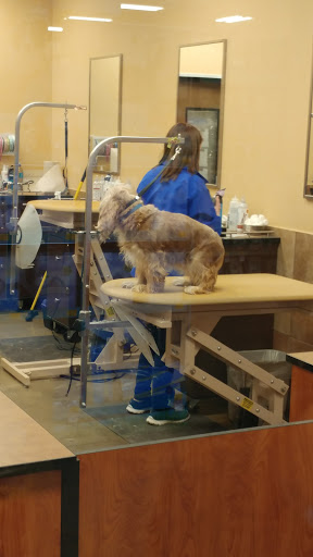 Pet Supply Store «PetSmart», reviews and photos, 533 S Broad St, Meriden, CT 06450, USA